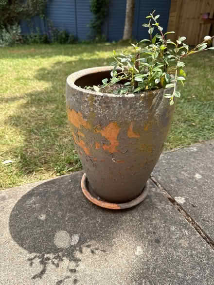 Photo of free Pot (Hatch Warren RG22) #1