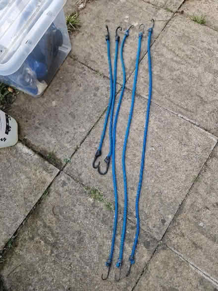 Photo of free Bungee cords various lengths (Up Hatherley GL51) #1