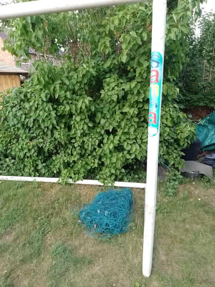 Photo of free Football trainer goal (Abingdon OX14) #2