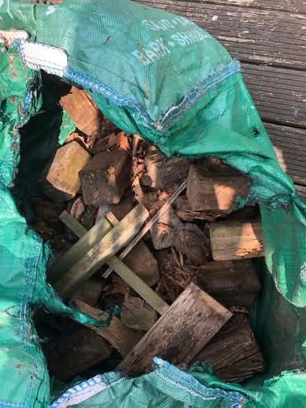 Photo of free Wood (for your fire pit?) (IP4) #1