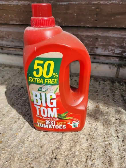 Photo of free Tomato food (Wimborne,Colehill) #1