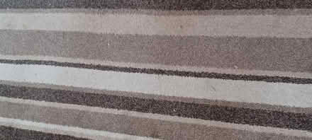 Photo of free Carpet (Billericay CM11) #3