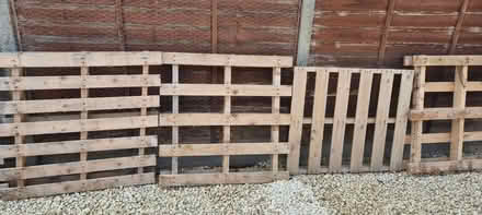 Photo of free Wooden pallets (Odd Down) #1