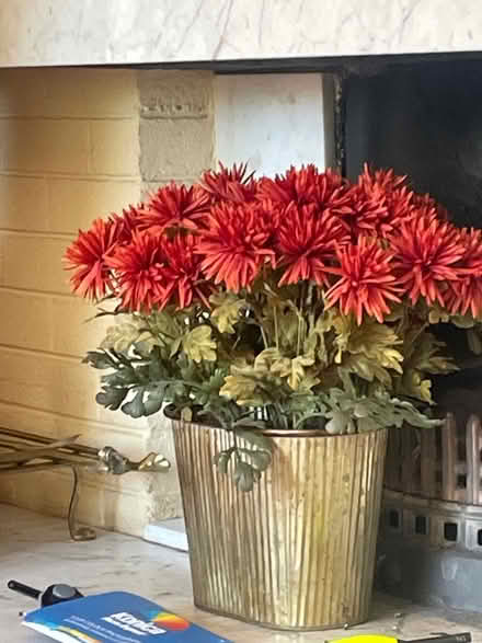 Photo of free Faux flowers (Deansgrange) #1