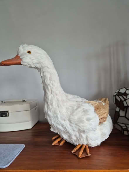 Photo of free Gisela Graham Duck (Cherry Willingham LN3) #1