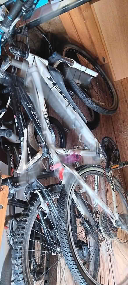 Photo of free Bicycles x 2 (Rakegate Estate WV10) #2
