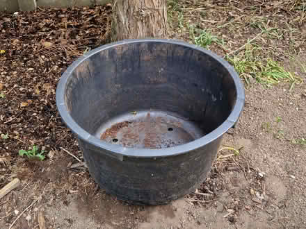 Photo of free large plastic plant tub/pot (Horsford NR10) #1
