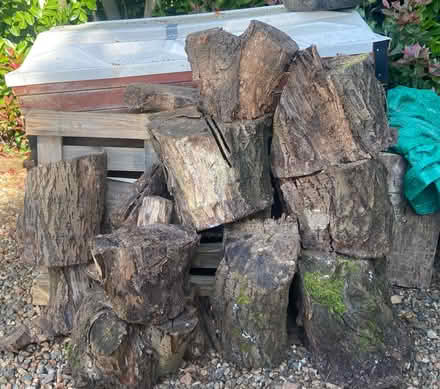 Photo of free Logs for fire, wood for chopping (St Albans AL1) #1