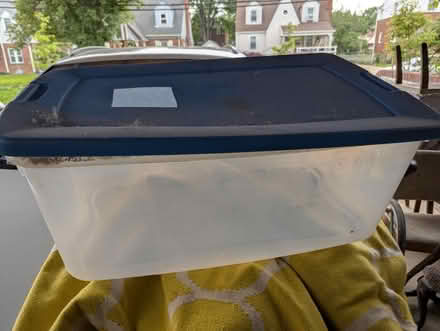 Photo of free Plastic bin (Hyattsville) #1