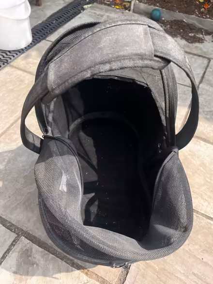 Photo of free Small dog bike rack basket (York YO24) #3