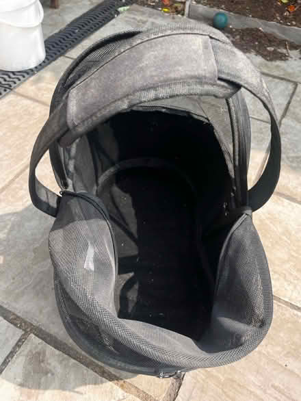 Photo of free Small dog bike rack basket (York YO24) #3