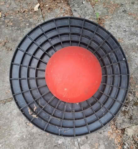 Photo of free Pogo Ball (Midsomer Norton (BA3)) #2