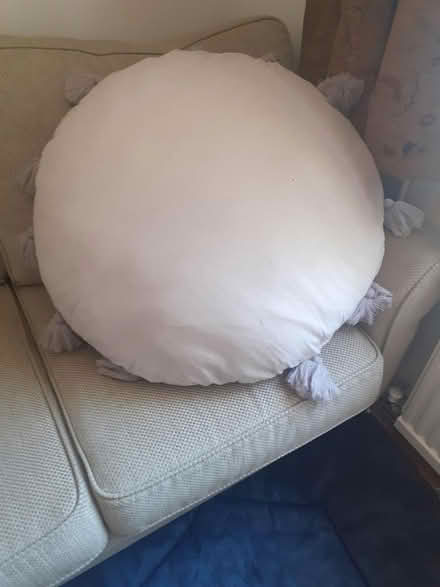 Photo of free Large round cushion (Ardingly RH17) #2
