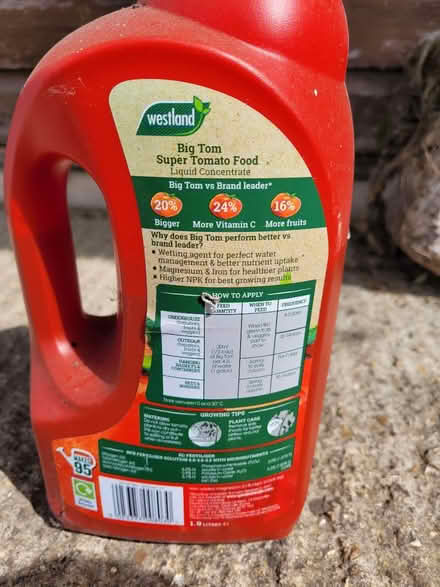 Photo of free Tomato food (Wimborne,Colehill) #2