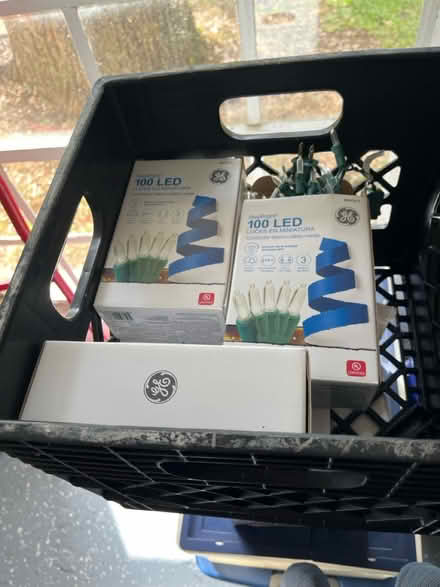 Photo of free Christmas lights (Valrico) #1