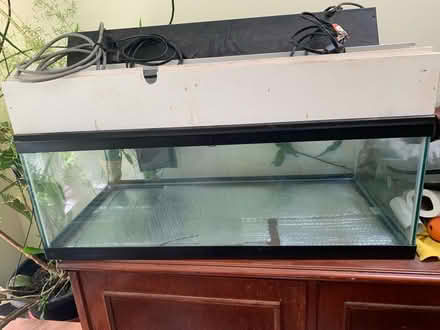 Photo of free Large reptile tank (West Acton) #1