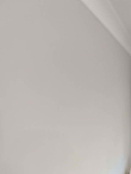 Photo of free Paint (5L light grey) (Bicester OX26) #2