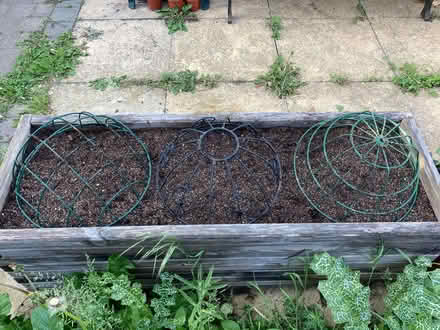 Photo of Metal Wire Shelving and/or Metal Wire Hanging Baskets (CT5) #2