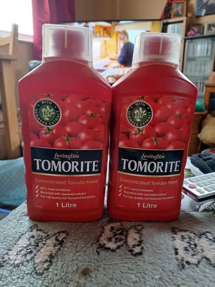 Photo of free Tomato food (Bath BA2) #1