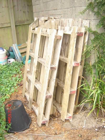 Photo of free Pallets (Tunley) #2