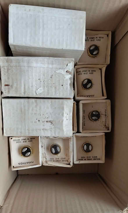 Photo of free 15 x 25W light bulbs (Williamson Park LA1) #1