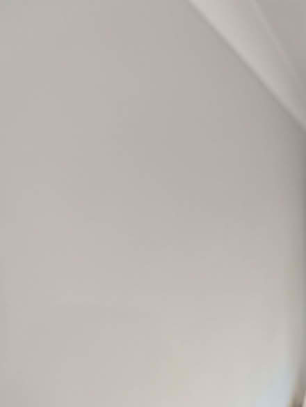 Photo of free Paint (5L light grey) (Bicester OX26) #2