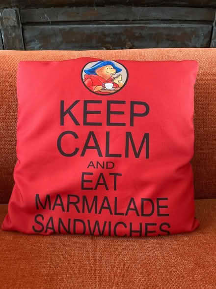 Photo of free Paddington Bear Pillow (Limehouse E14) #1