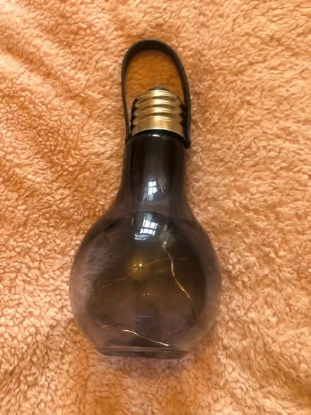 Photo of free Garden bulb (Cavendish DE23) #1