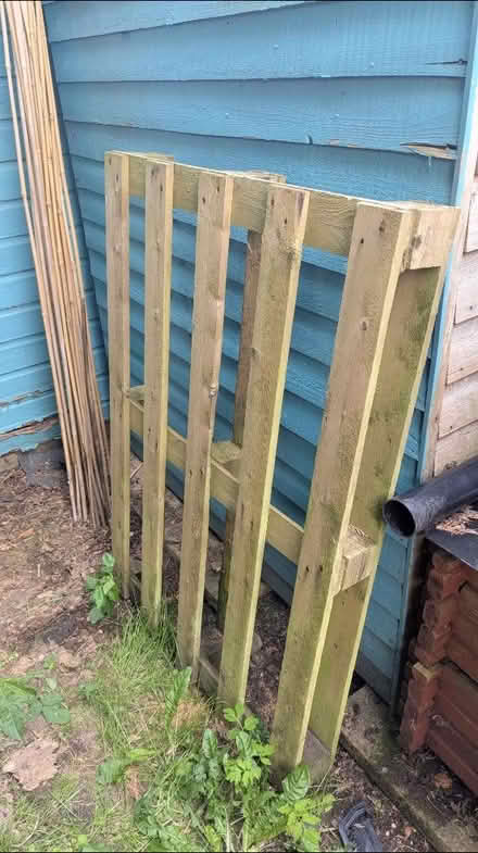 Photo of free Pallet (SY11) #1