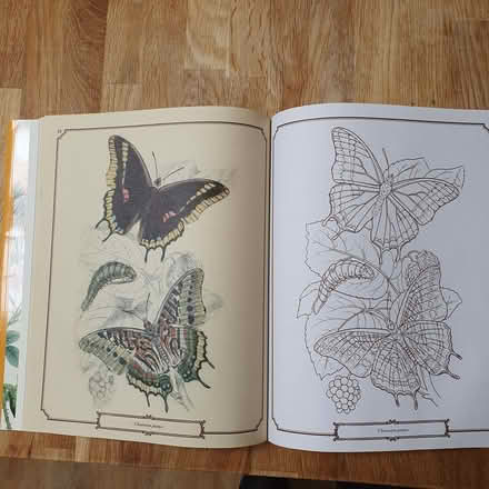 Photo of free Colouring books, flowers and butterflies (Over Kellet LA6) #3