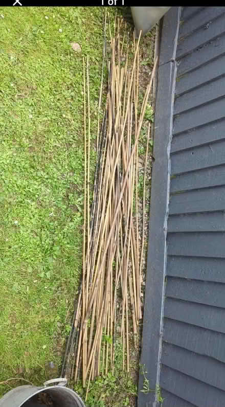 Photo of free 4ft canes (SY11) #1