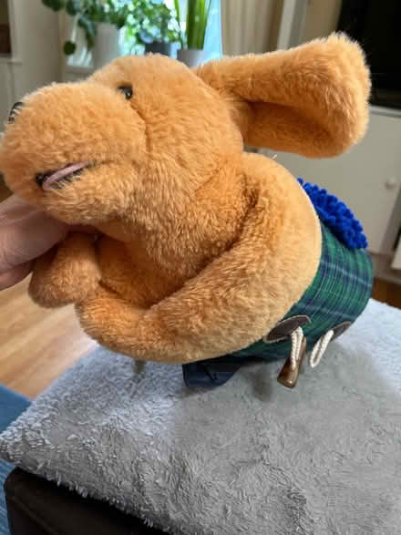 Photo of free Stuffed dog for dementia patients (Chevy Chase DC) #2