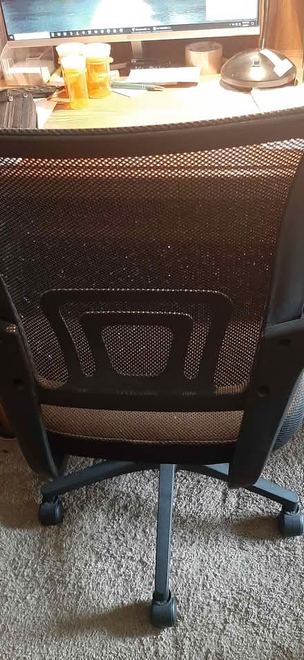 Photo of free Mesh chair (Farmington Hills) #2