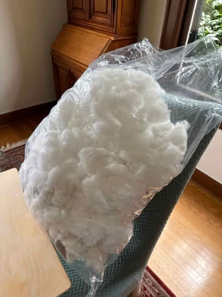 Photo of free Pillow stuffing (Capitol Hill) #1