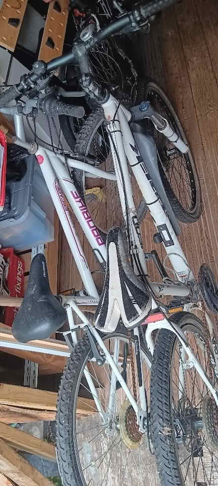Photo of free Bicycles x 2 (Rakegate Estate WV10) #1