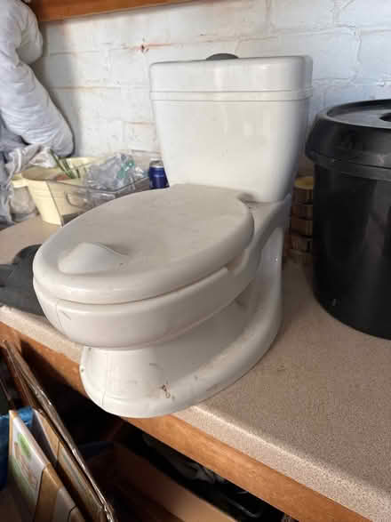 Photo of free Potty (GL4) #1
