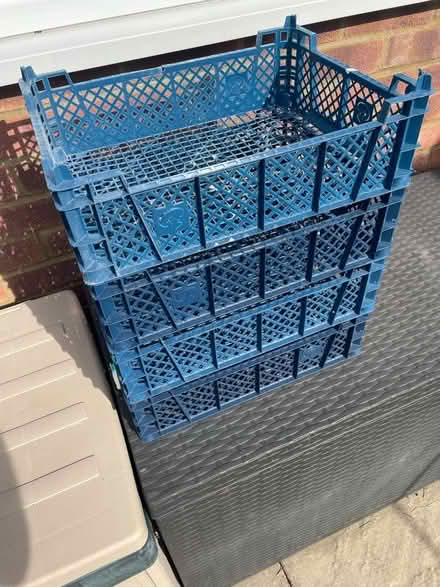 Photo of free mushroom trays (Widford CM1) #2