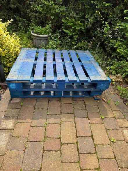 Photo of free 2 wooden loading pallets blue in colour 1m2 (Rushbury SY6) #1