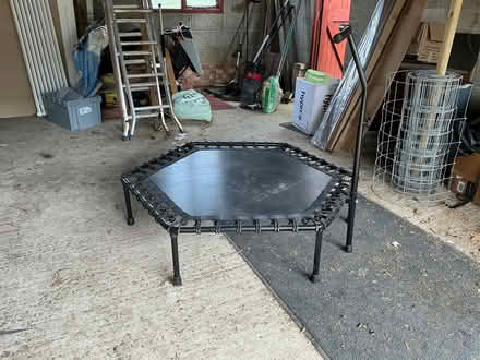 Photo of free Rebounder / jogging trampoline (Layer-de-la-Haye CO2) #1