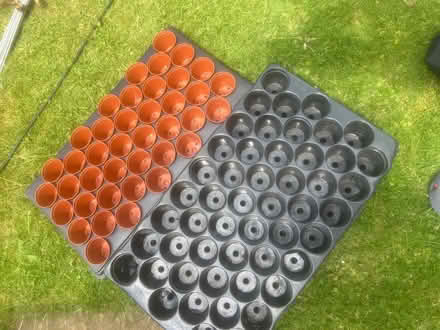 Photo of free Seed trays/ pots (Widmer End HP15) #1