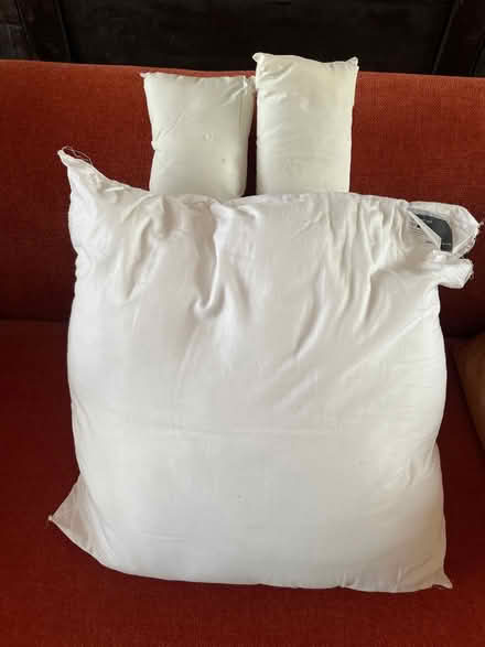 Photo of free Polyester wadding from pillows (Limehouse E14) #1