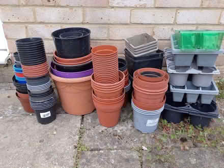 Photo of free plant pots (Frogmore GU17) #1