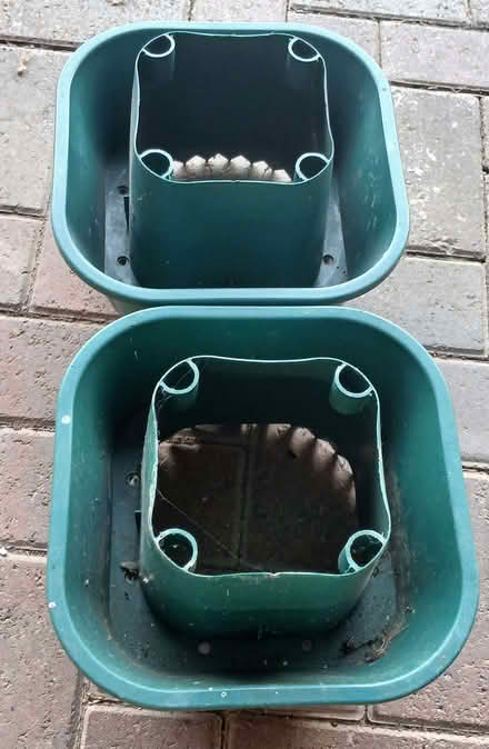 Photo of free Tomato Planters (Okus SN1) #1