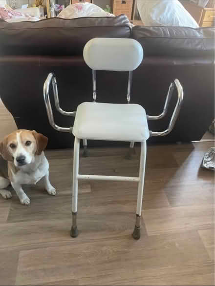 Photo of free Perching stoll ( no dog) (Chelmsford CM1) #1