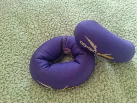 Photo of free Weights (Kingsway) #2