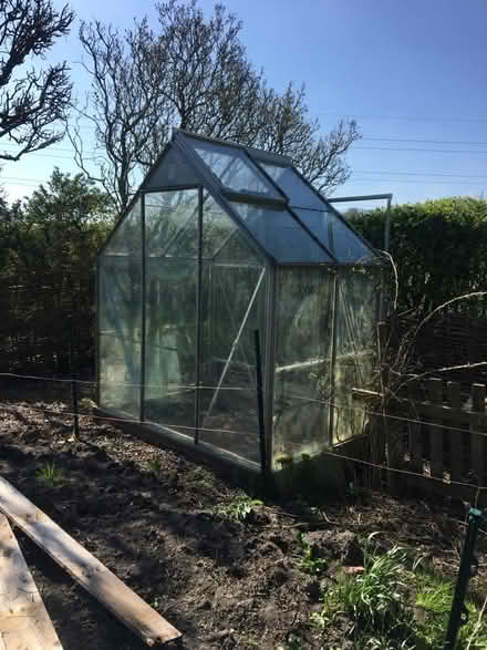 Photo of free Greenhouse (Chippenham SN15) #1