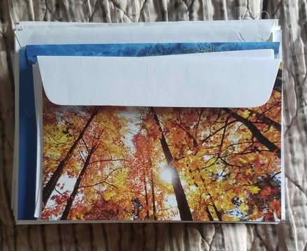 Photo of free Nature themed greeting cards (Kirkwood) #1