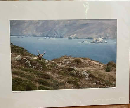 Photo of free 2 Wildlife Photographs (Matted) (Sunnyvale CA) #1