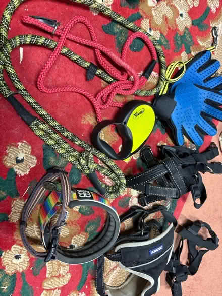 Photo of free dog leads/collars/harness (NN3 Meadowfields) #1