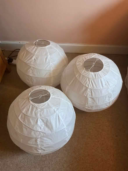 Photo of free Lampshades (Harrogate HG1) #1